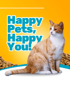 blue & yellow minimalist pet shop promotion instagram post