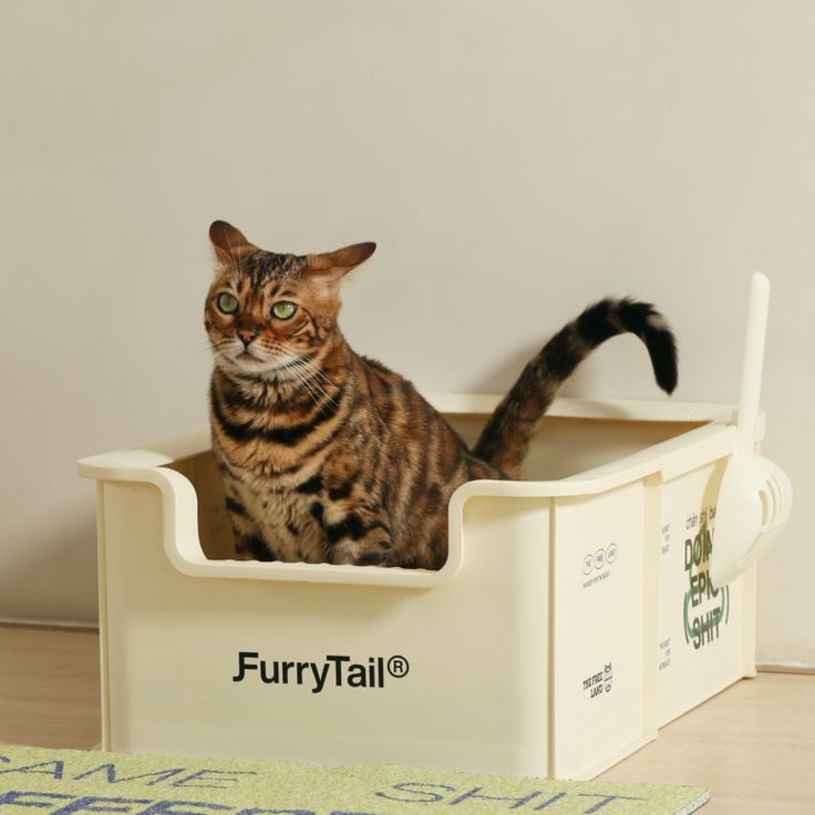 camp open rimmed large cat litter box cream