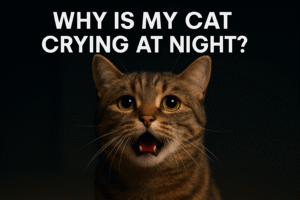 chatgpt image nov 21, 2025, 05 40 11 pm