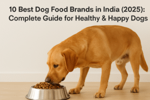 Cartoon dog sitting beside a bowl of kibble with text saying best dog food brands in India.