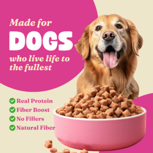 purple and yellow photo dogs instagram post