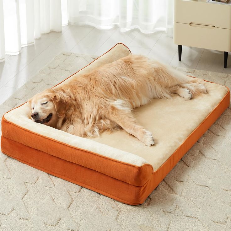 Orthopedic dog bed providing pressure relief and comfort for dogs with joint pain