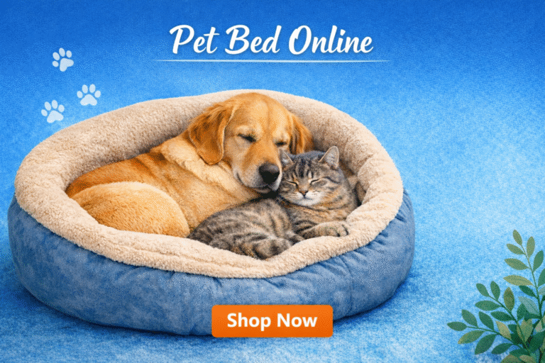 Pet bed online with a dog and cat sleeping comfortably in a soft, cozy pet bed